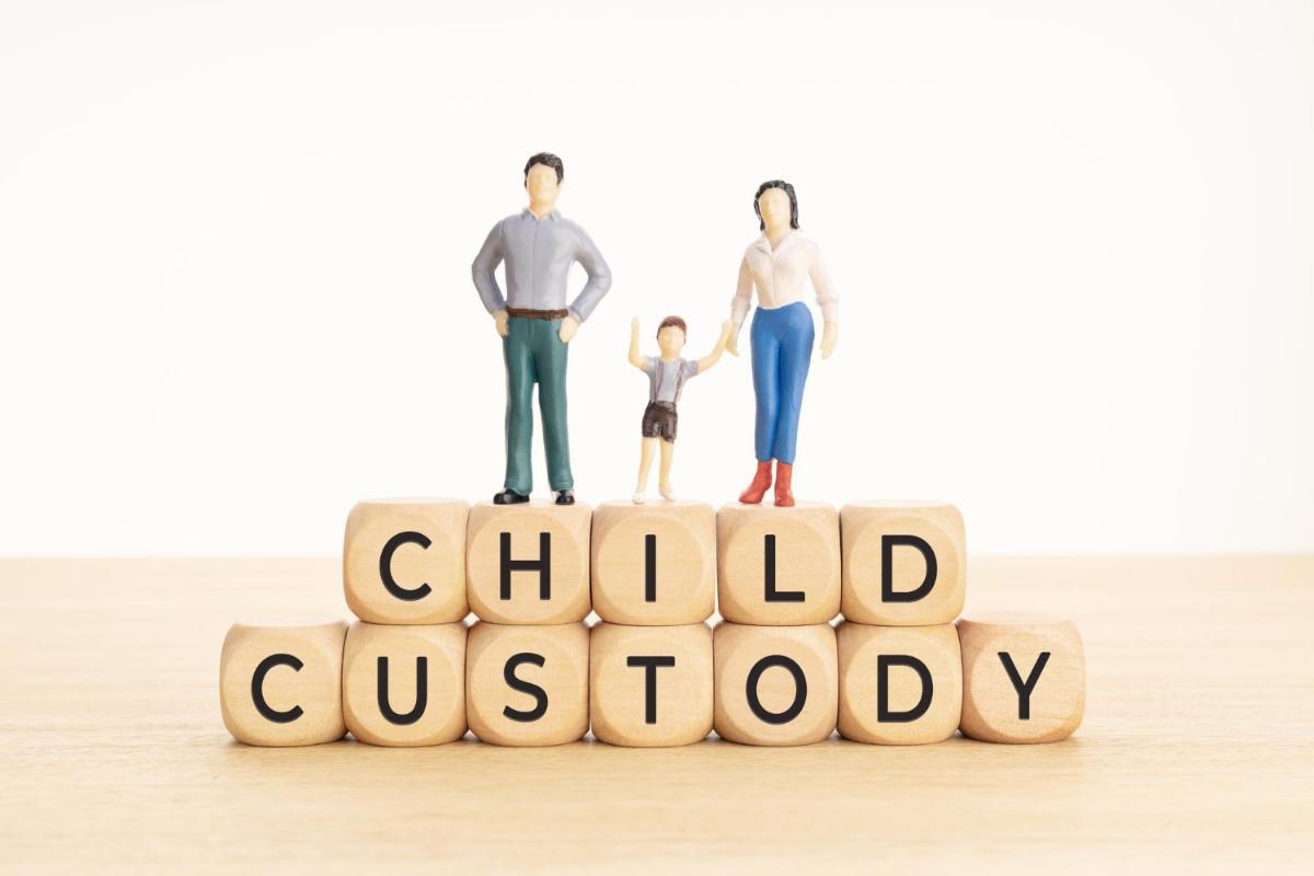 What You Should Understand About Child Custody in Court