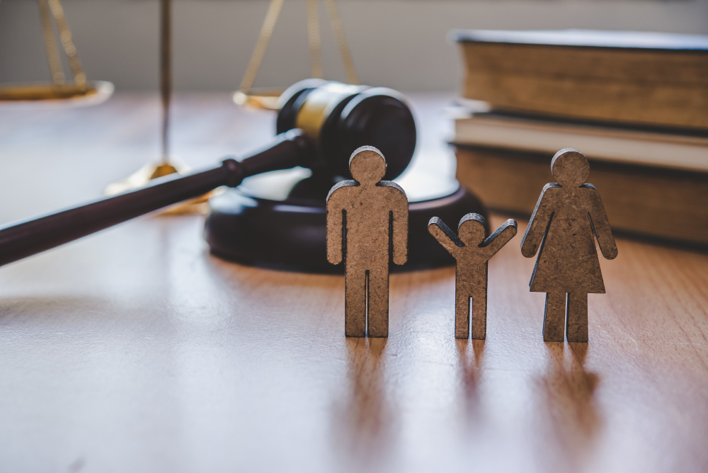 How Family Law Differs from Other Legal Fields